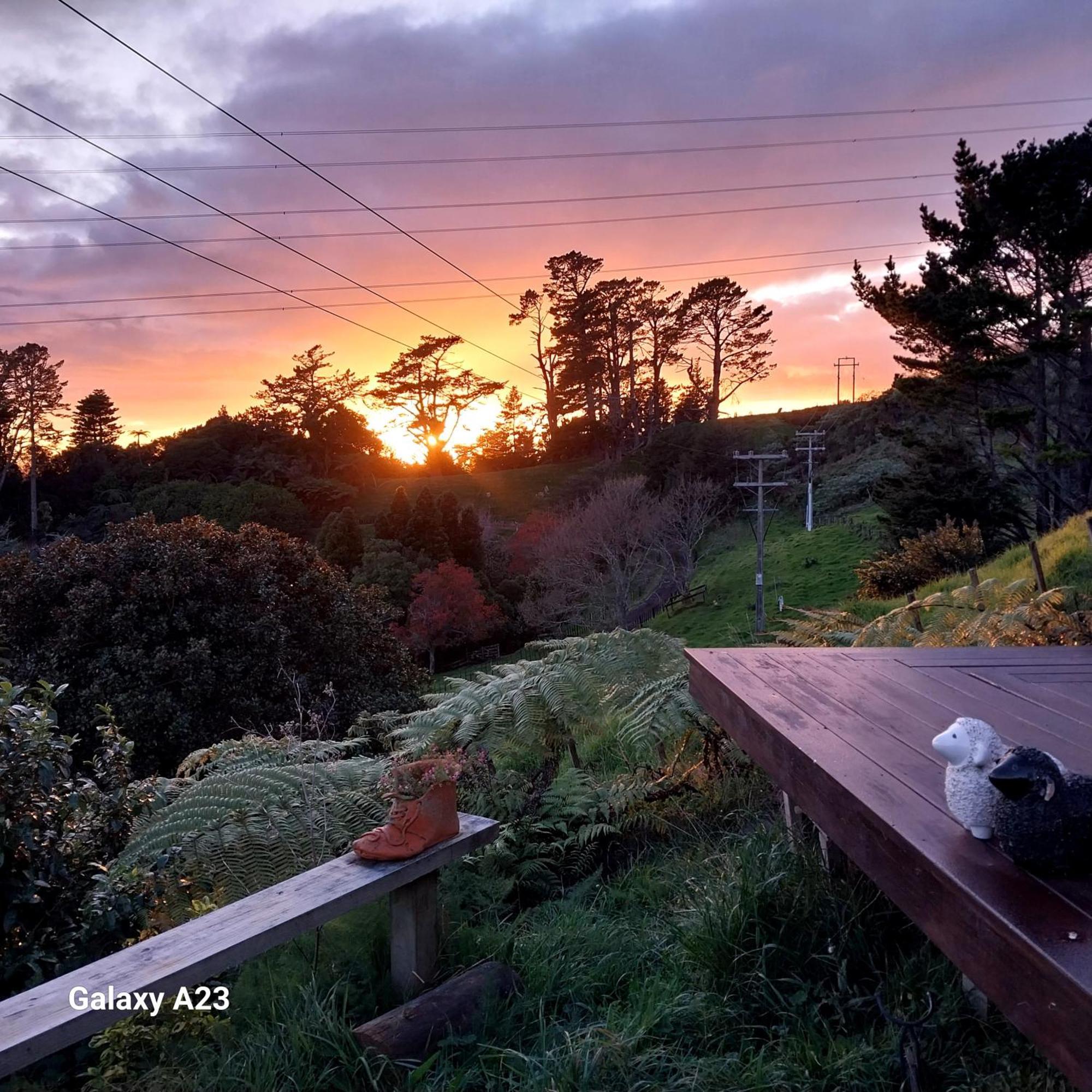 Cosy Country Cottage On A Sunny Hill New Plymouth Exterior foto